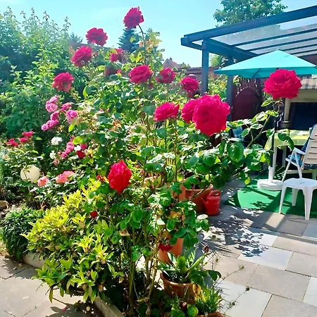 Im Appartementhaus Stapel, Apartamento *